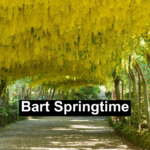 bart springtime