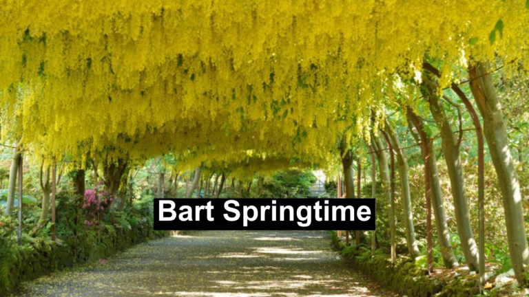 bart springtime